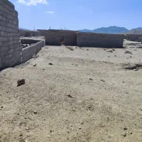 زمین کالیکه  250  متر  نزدیک خیابان اصلی