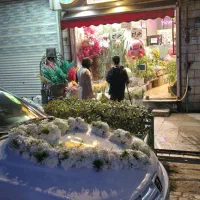 نیازمند کارگر گلفروشی گل ارا ماهر نمیه ماهر