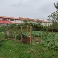 زمین-مسکونی-با-مجوز-ساخت