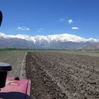 رانندهتراکتور