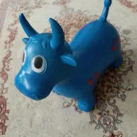 گاو بادی سالم
