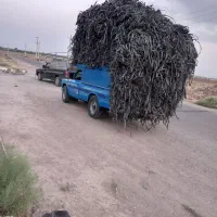 خریدار نوار تیپ