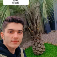 اجرای فضای سبز|خدمات باغبانی و درختکاری|تهران, تجریش|دیوار