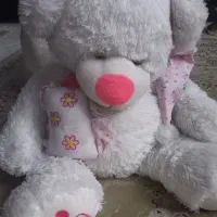 خرس بزرگ
