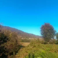 546متری کوهستانی سیاهمزگی شفت|فروش زمین و ملک کلنگی|احمدسرگوراب, |دیوار