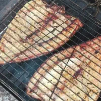 غذای دریای|ماهی|مهاجران, |دیوار