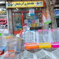 کاسکو ملنگو راهب گرینچیک برزیلی خورشیدی