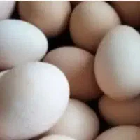 تخم مرغ محلی اصیل تضمینی