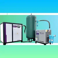 فیلتر روغن هوا سپراتور کمپرسور باد درایر سورتینگ