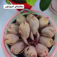 بلدرچین گوشتی|خوردنی و آشامیدنی|املش, |دیوار