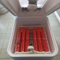 دستگاه جوجه کشی ۹۶ تایی اسکندری