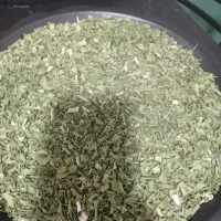 مسافر رفت و برگشت دهدشت بهبهان