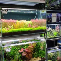 انواع ماهی گیاه خوار