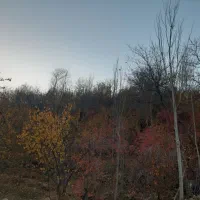 فروش باغ در روستای کهل