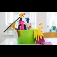 استخدام نیروی کار درخانه