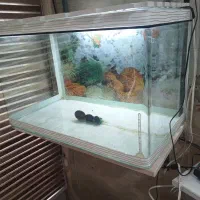 وسایل آکواریوم .به طول ۵۷و عرض ۳۲و ارتفاع۳۶|ماهی|کرمانشاه, |دیوار