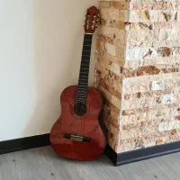 گیتار نیمه حرفه ای