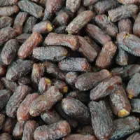 خرمای درجه یک پیارم حاجی آباد|حراج|حاجی آباد, |دیوار