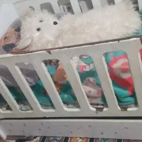 تخت گهواره ای|تخت و صندلی بچه|مشهد, شهید آوینی|دیوار