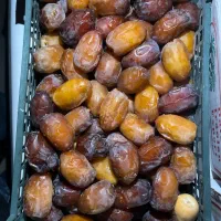 رطب سوغاتی خشت