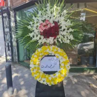 تاج گل طبیعی|گل و گیاه طبیعی|اصفهان, فیض|دیوار