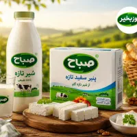 ویزیتور حضوری