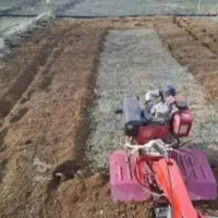 خدمات بیل زنی و شخم زنی با کلتی واتور