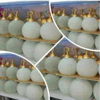 لوستر ..سفید|لوستر و چراغ آویز|تبریز, |دیوار