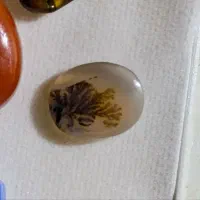 نگین یاقوت کبود اوپال عقیق شجر و غیره فروش ومعاوضه|بدلیجات|مشهد, حضرت حجت|دیوار