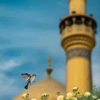 تور زیارتی
