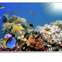 تلویزیون 43ال ای دی فول اچ  دی 43ایکس ویژن|تلویزیون و پروژکتور|کرمانشاه, |دیوار