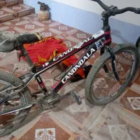 دوچرخه ۲۴|دوچرخه، اسکیت، اسکوتر|برازجان, |دیوار