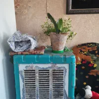 کولرابی ۲۸۰۰سالم فروشی