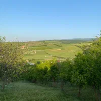 فروش 2200 متر باغ سه بر، با منظره شهر و جنگل