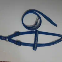 لوازم  سگ|لوازم جانبی حیوانات|رشت, بازار|دیوار