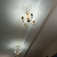 دوعدد لوستر