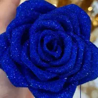 گل شاین ابی