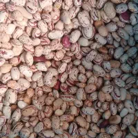 حبوبات نخود وچیتی ارگانیک