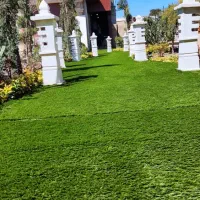 چمن مصنوعی در هرمتراژ/نواری(بین سنگی)|خدمات باغبانی و درختکاری|تهران, شهرک هما|دیوار