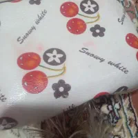 ،هود نو مارک جنرال