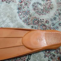 فین شنا|غواصی و ورزشهای آبی|بوشهر, |دیوار