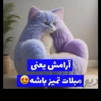 شرکت شستشوی تخصصی مبل و فرش دکتر مبل