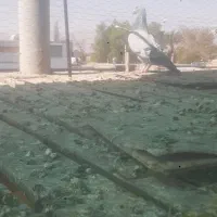 کفتر پلاکی وبهبهونی فسا|پرنده|شیراز, شهرک مدرس|دیوار