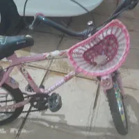 دوپرخه دخترانه ۱۲