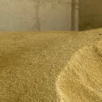 جو بش بذری|عمده‌فروشی|شیراز, شهرک صنعتی شیراز|دیوار