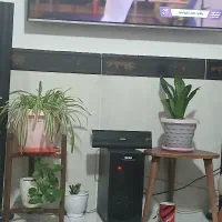 سینما خانواده