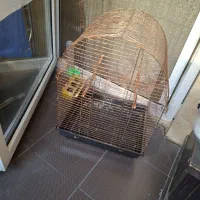 قفس پرنده بزرگ