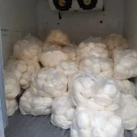 بورس کره حیوانی