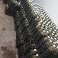 خیارشور تازه امسالی بطری و دبه به ضمانت