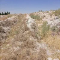 زمین حفر شده با بیل مکانیکی آماده کاشت درخت انگور|فروش دفتر صنعتی، کشاورزی، تجاری|قروه, |دیوار